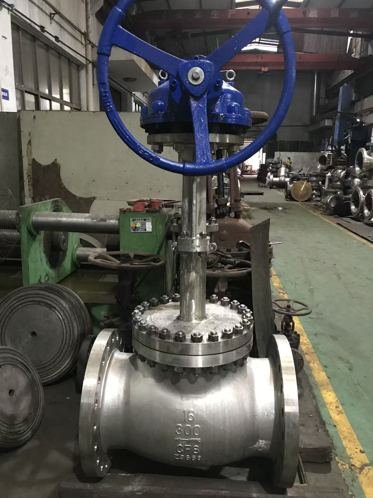 Stainless steel globe valve