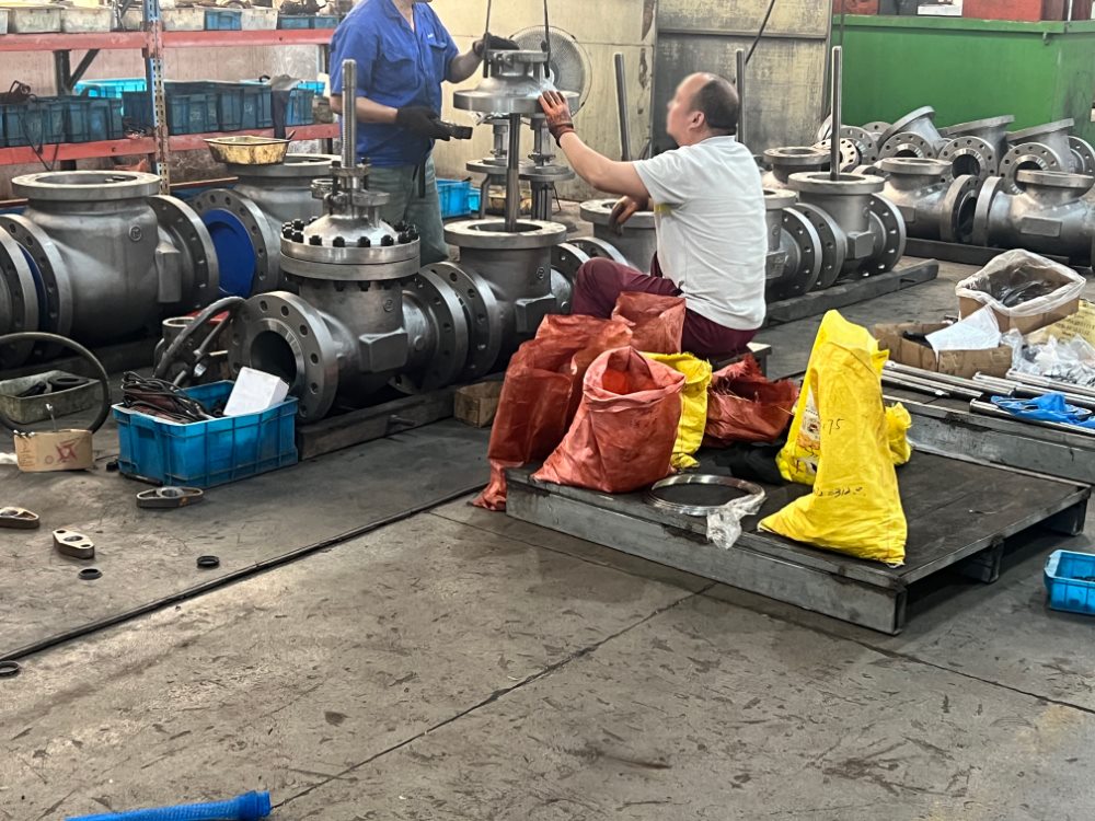 Valve assembly workshop