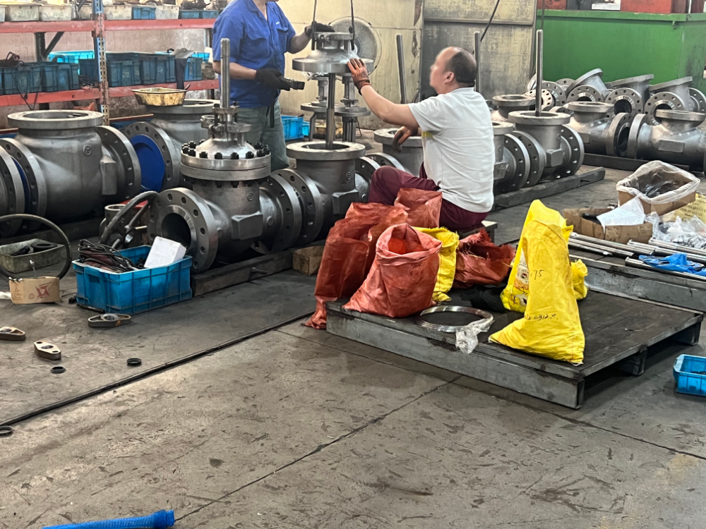 Valve assembly workshop